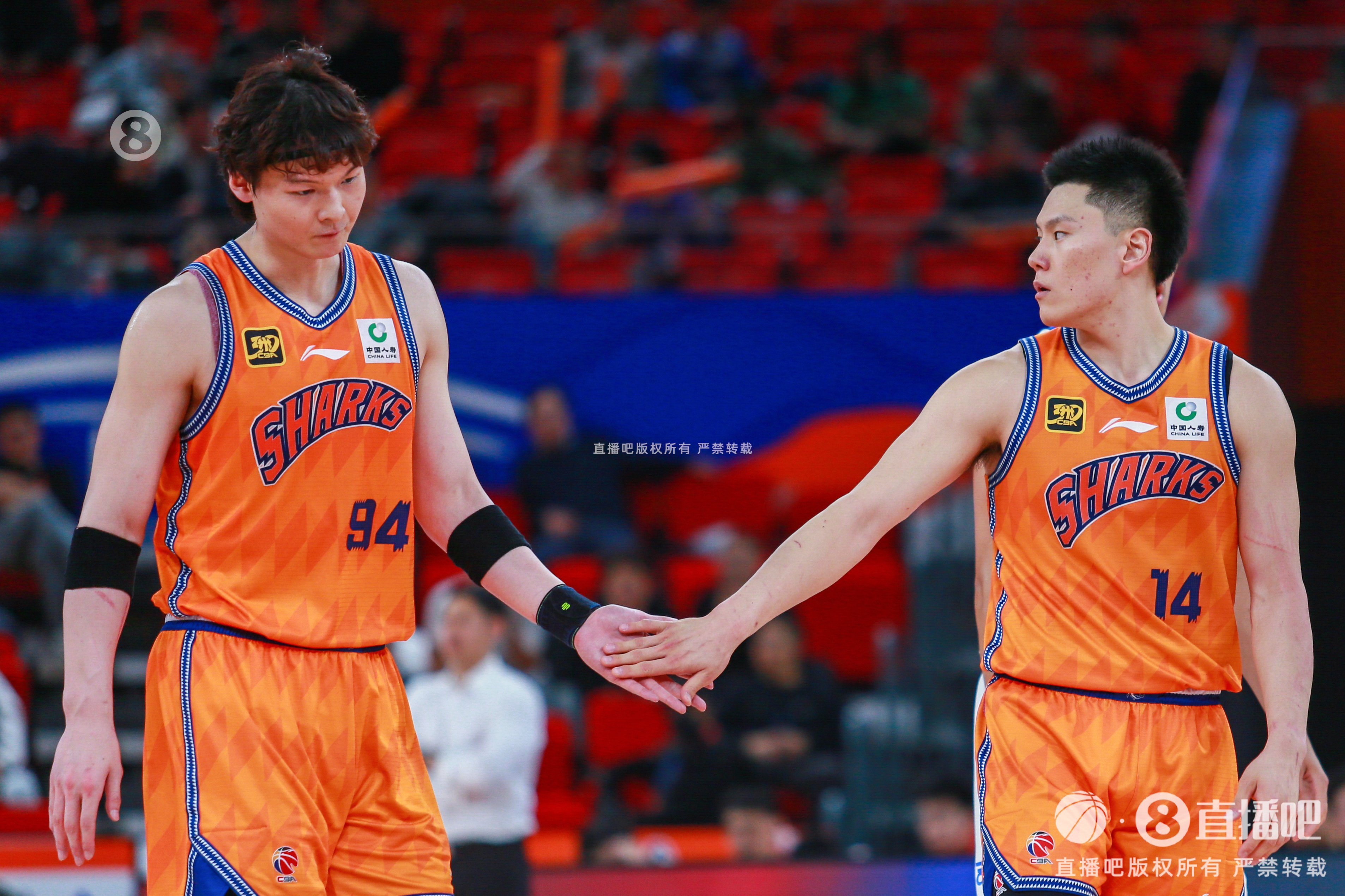 內外都兵強馬壯！上海男籃陣容：王哲林張鎮麟洛夫頓古德溫領(lǐng)銜